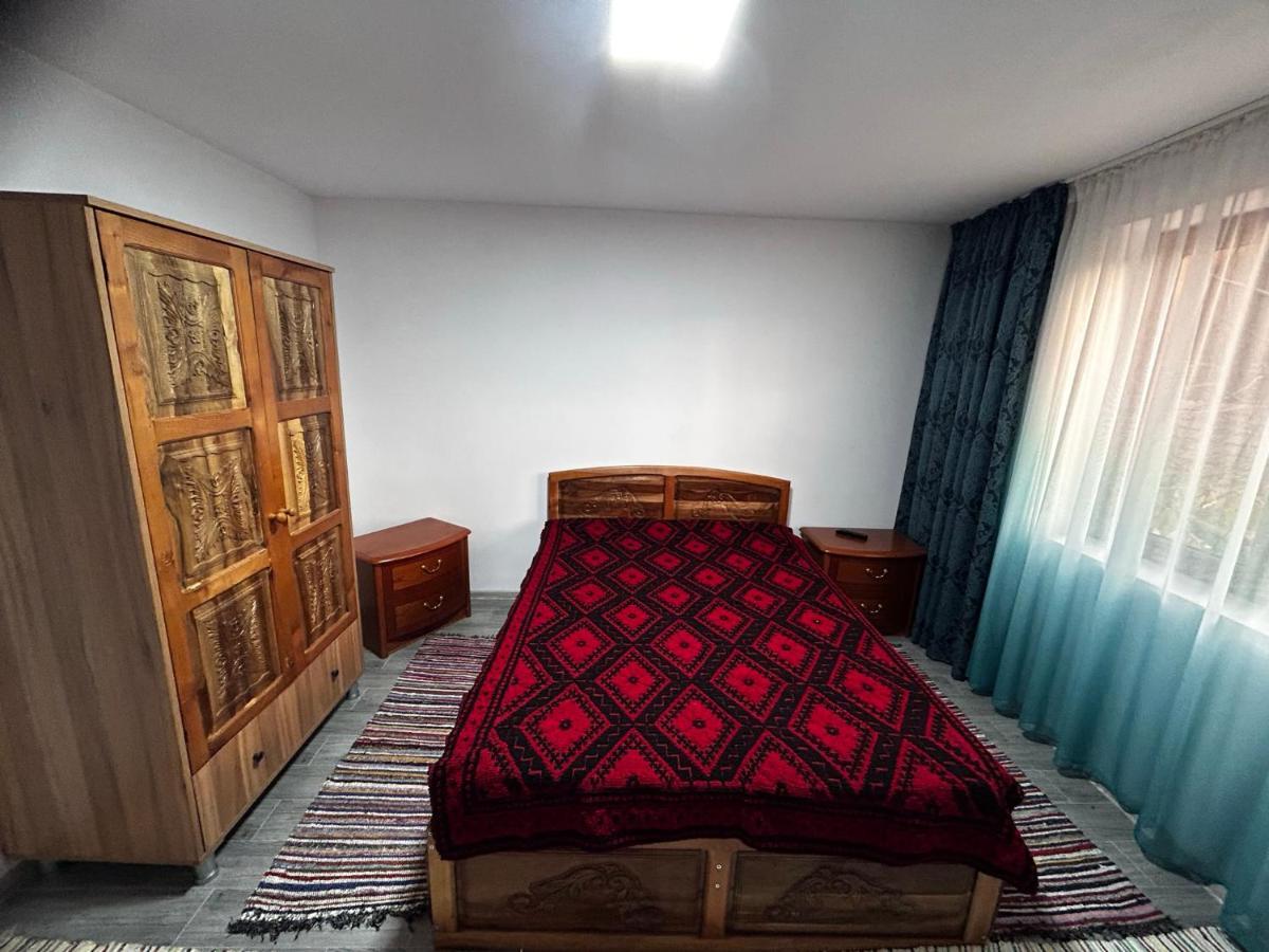 Holiday home Casa Camelia Nehoiu