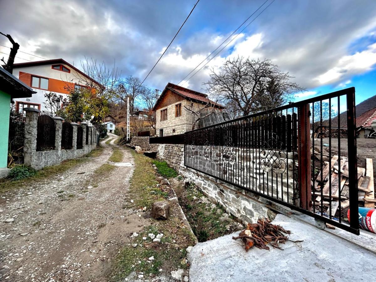 Casa Camelia Holiday home