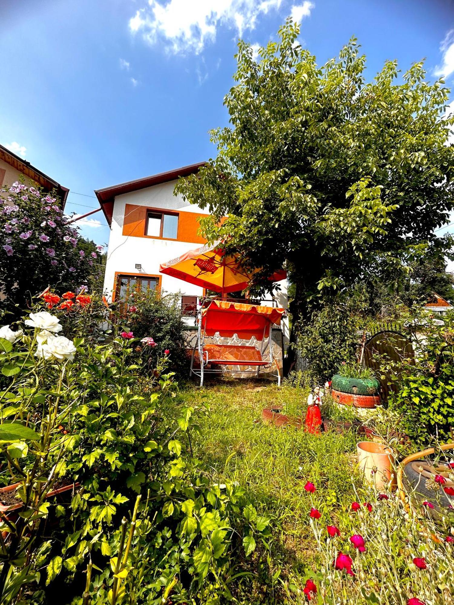 Holiday home Casa Camelia *